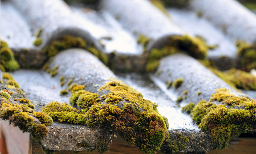 HYDROFUGATION TOITURE